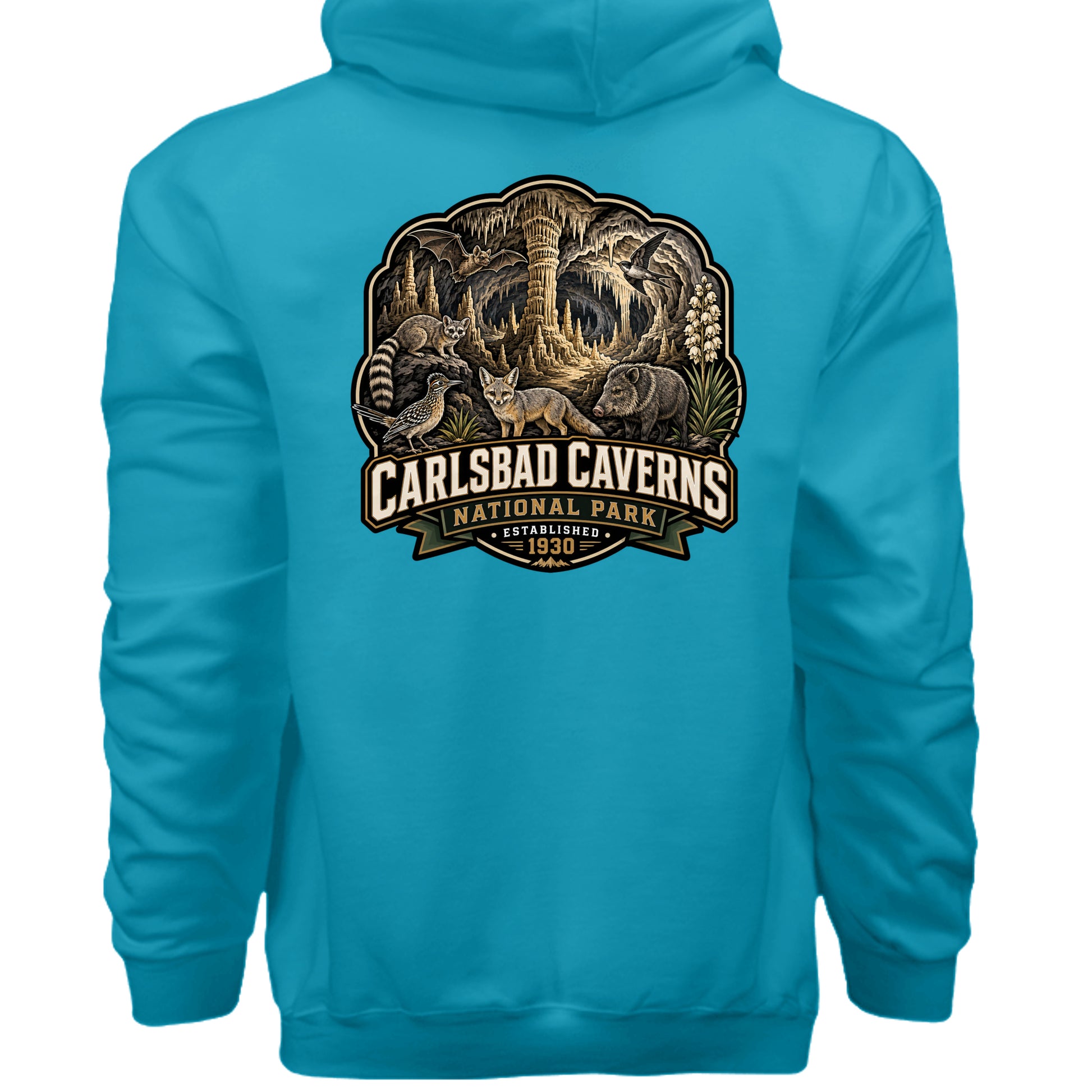 Teal - F170 - BACK