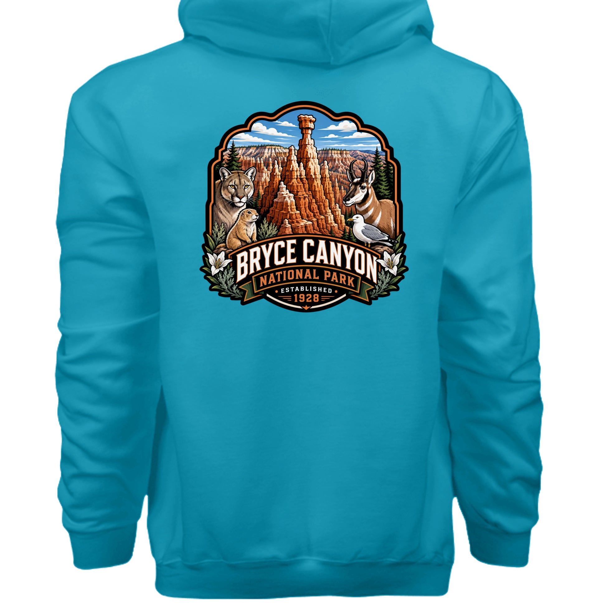 Teal - F170 - BACK