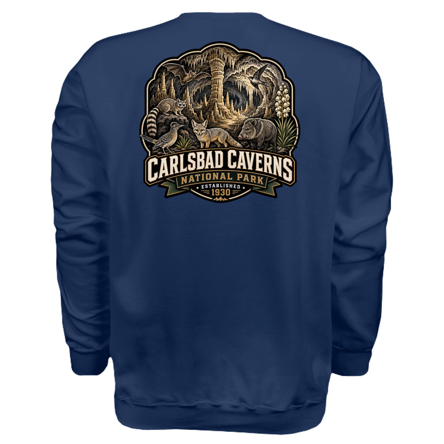 NAVY - F260 - BACK