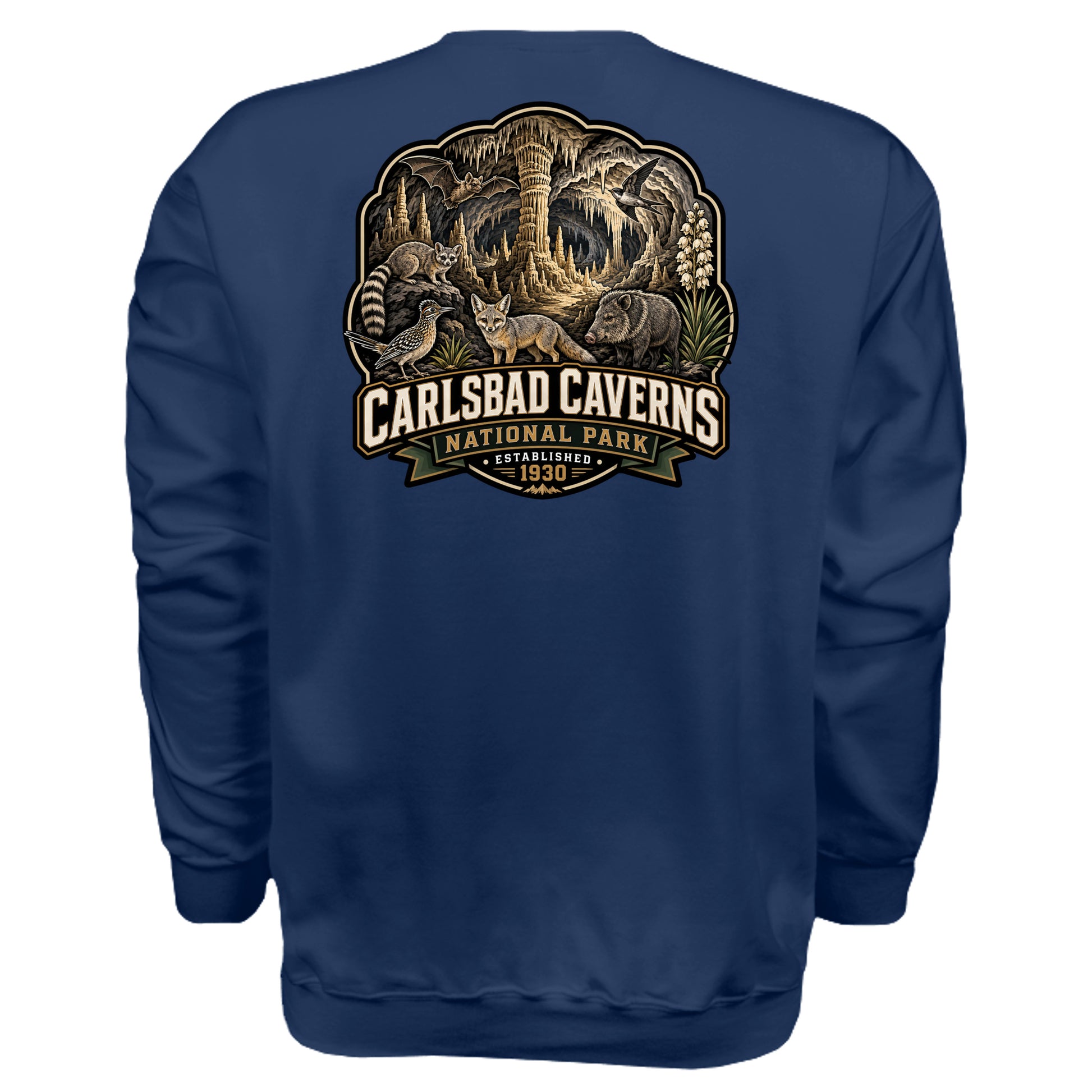 NAVY - F260 - BACK