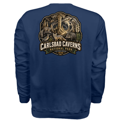 NAVY - F260 - BACK