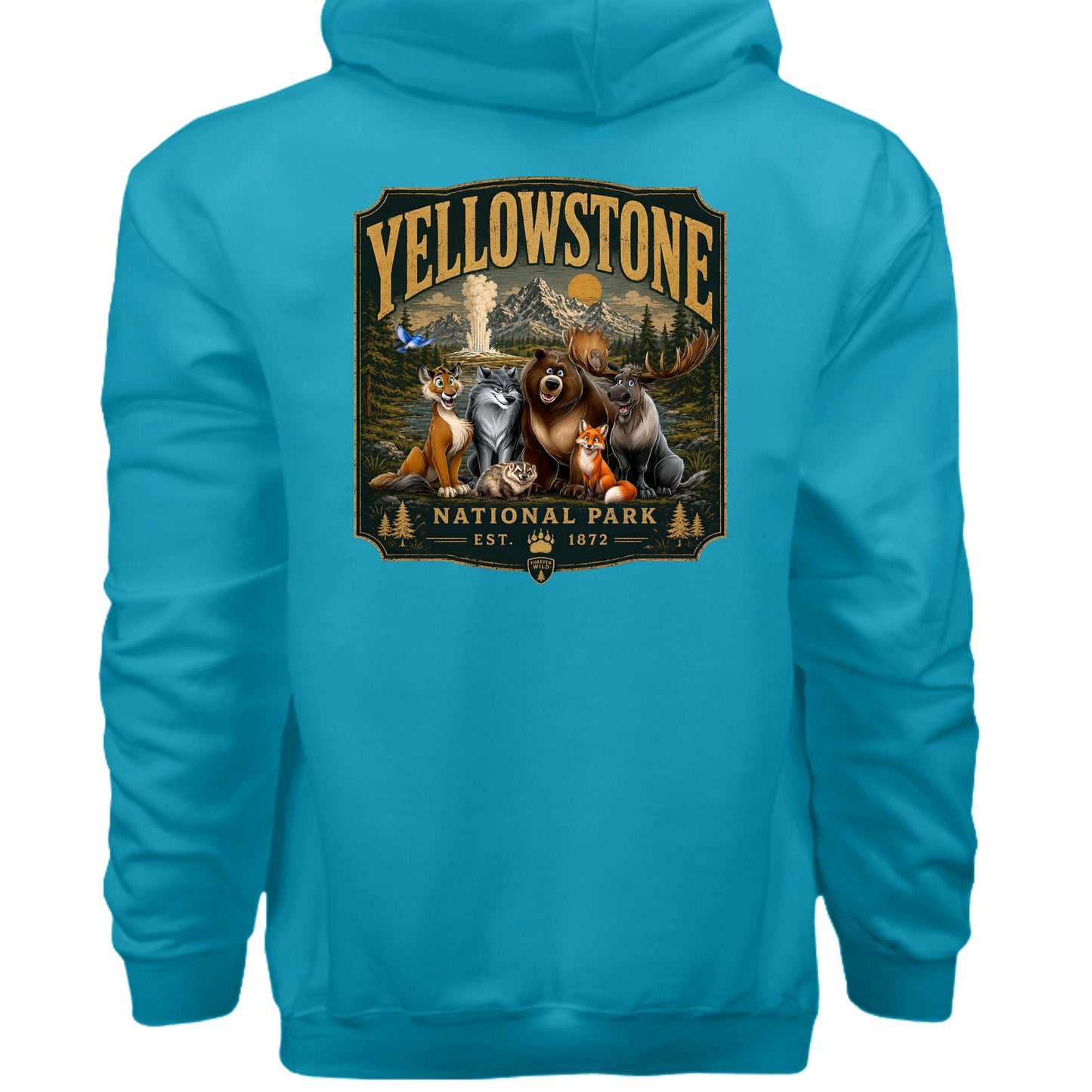 Teal - F170 - BACK