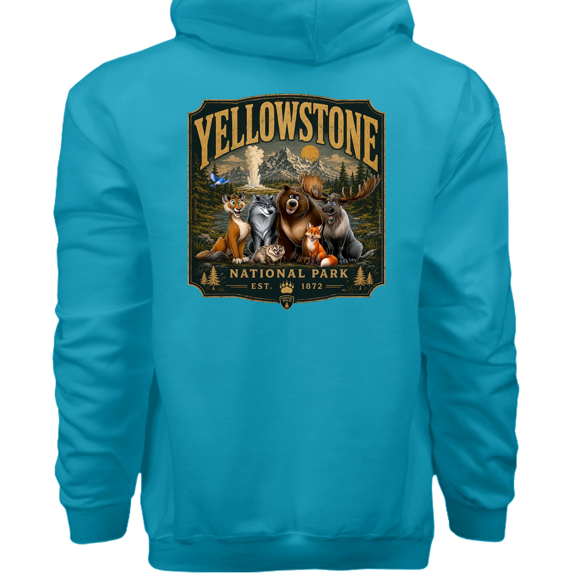 Teal - F170 - BACK