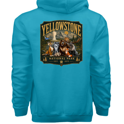 Teal - F170 - BACK